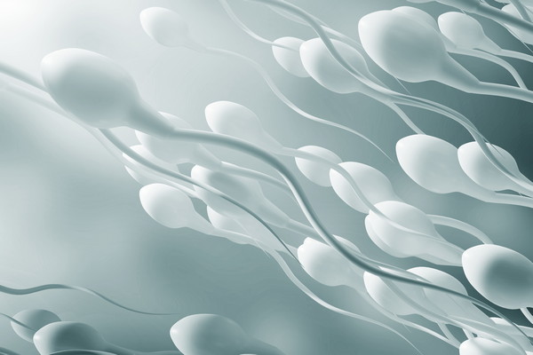 Исследование фрагментации ДНК в сперматозоидах